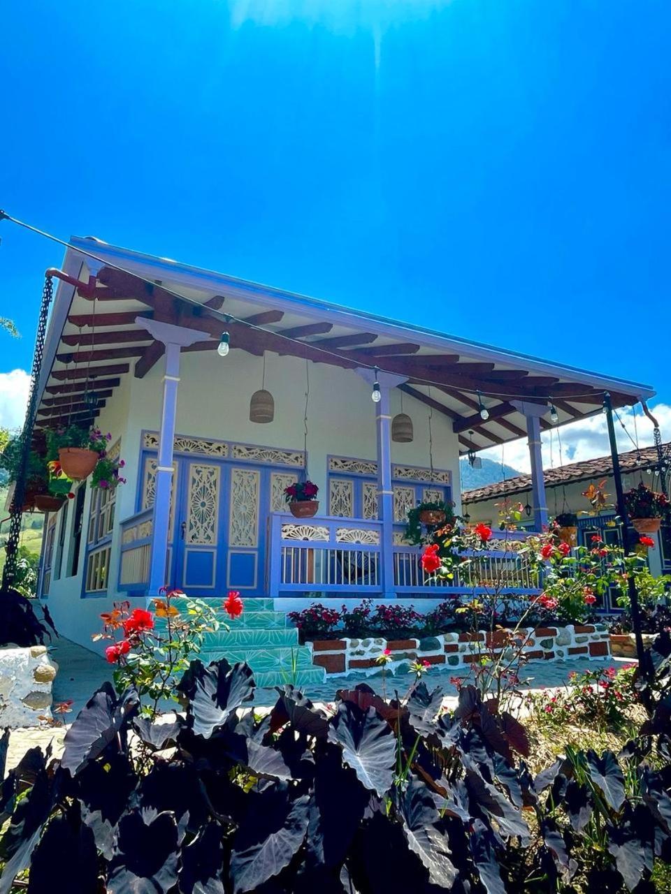 Hotel Lago Valdivia Хардін Екстер'єр фото